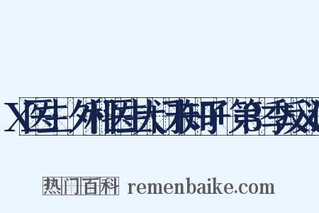 X医生:外科医生大门未知子+第3季反义词是什么意思的图片